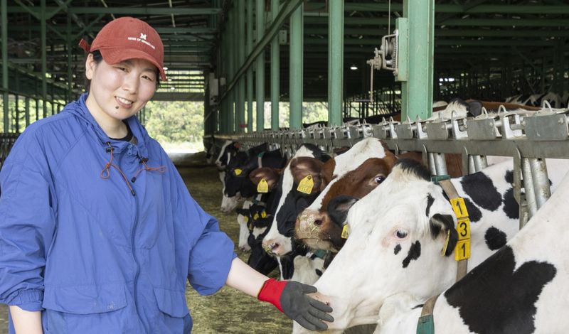 アイケイ商事株式会社の求人・転職情報