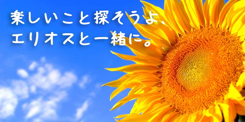 合同会社オムズの求人・転職情報