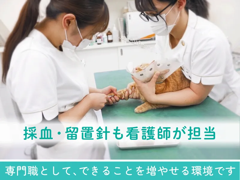 株式会社西長堀動物病院の求人・転職情報