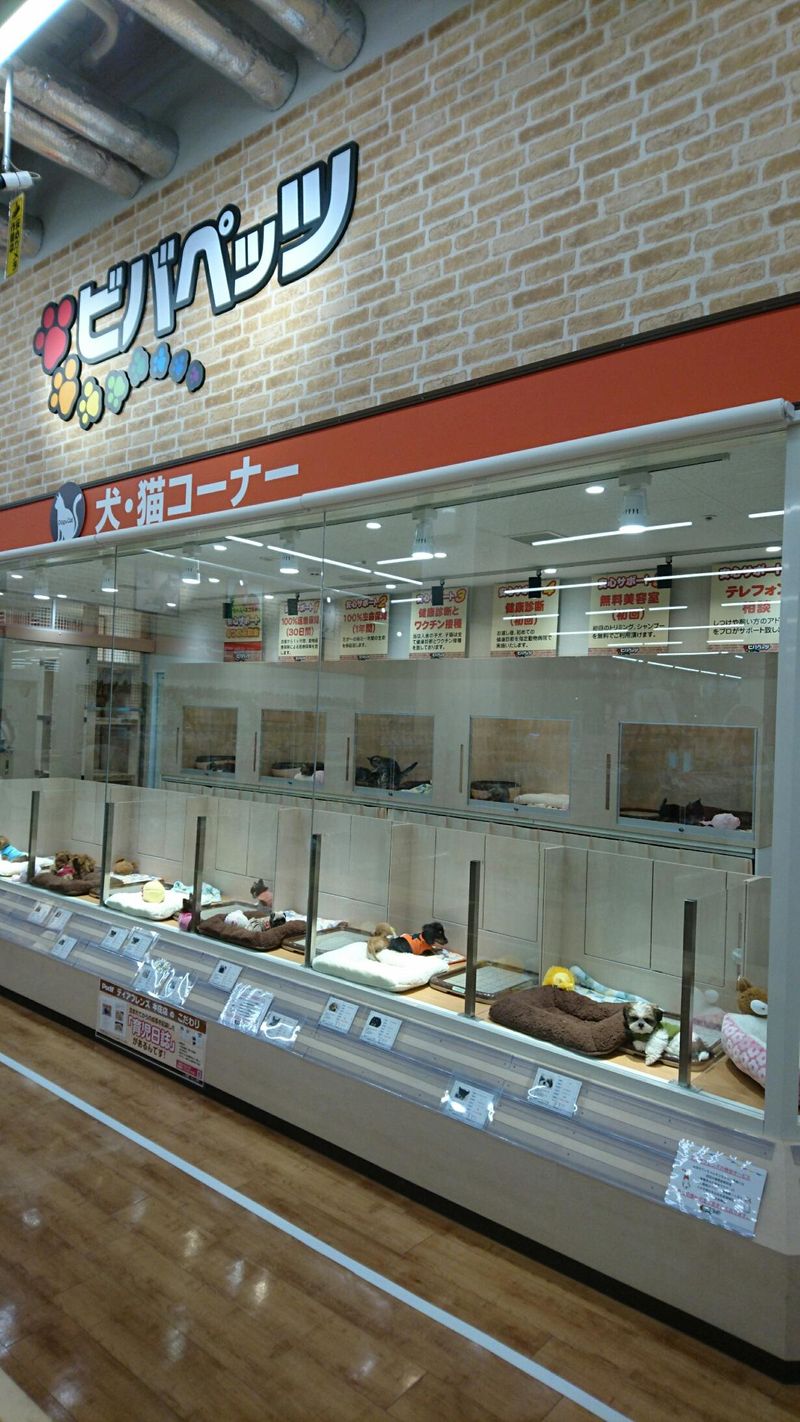 ビバペッツ ディアフレンズ 本庄店のアルバイト・バイト求人情報-02
