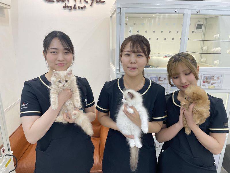 Cattleya　池袋店のアルバイト・バイト求人情報-01