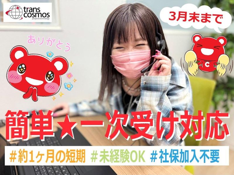 トランスコスモス株式会社のアルバイト・バイト求人情報-15
