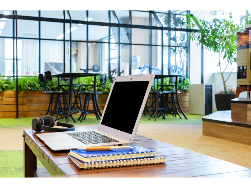 辻・本郷 ITコンサルティング株式会社の求人・転職情報