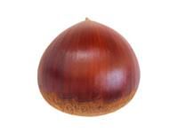 丸成商事株式会社の求人・転職情報