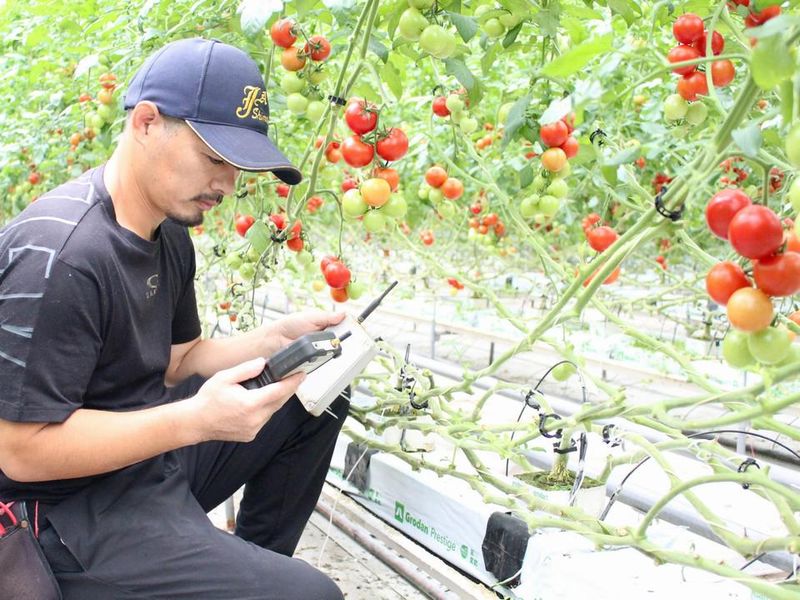 株式会社グリーンステージ大平のアルバイト・バイト求人情報-03