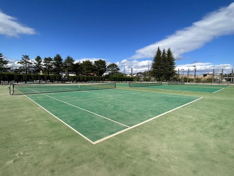 シンコースポーツ株式会社の求人・転職情報