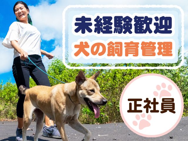 有限会社関空ペット-0003の求人・転職情報