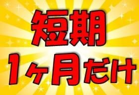 株式会社オープンループパートナーズ梅田支店の派遣求人情報