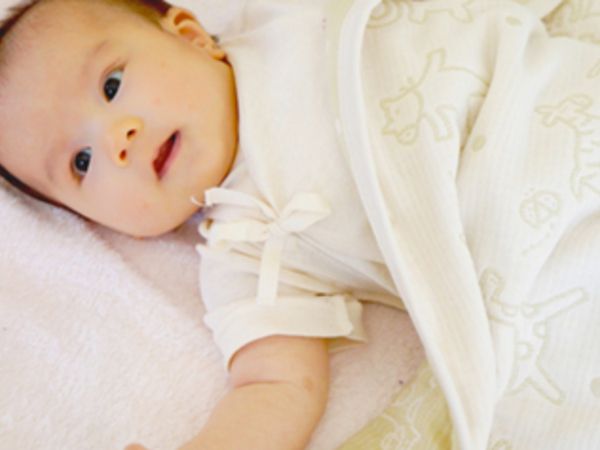 キッズポケット保育園の求人・転職情報