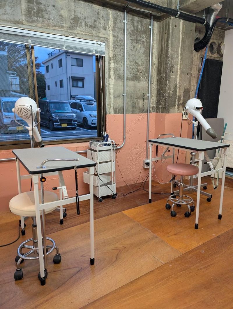 ドッグサロンわん 柳原店の求人・転職情報-02