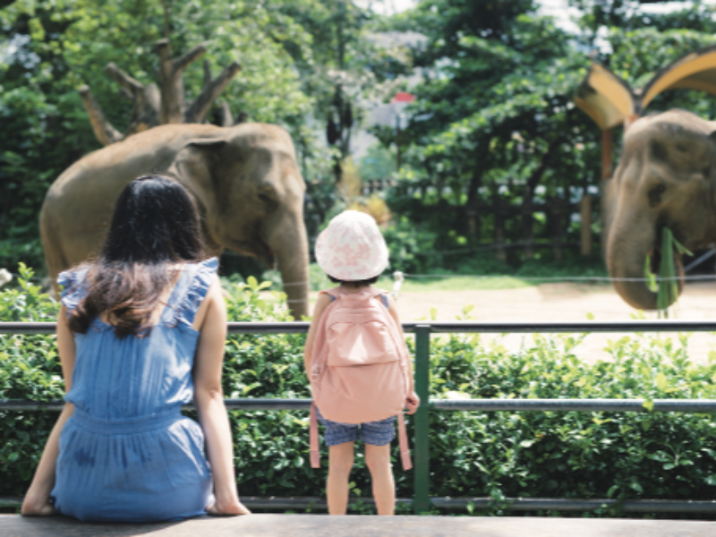 株式会社ヒューマンキャピタル研究所のアルバイト・バイト求人情報-02