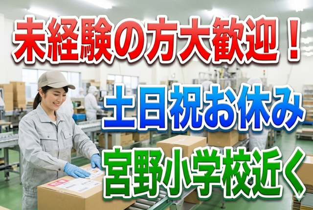 インフェイス株式会社