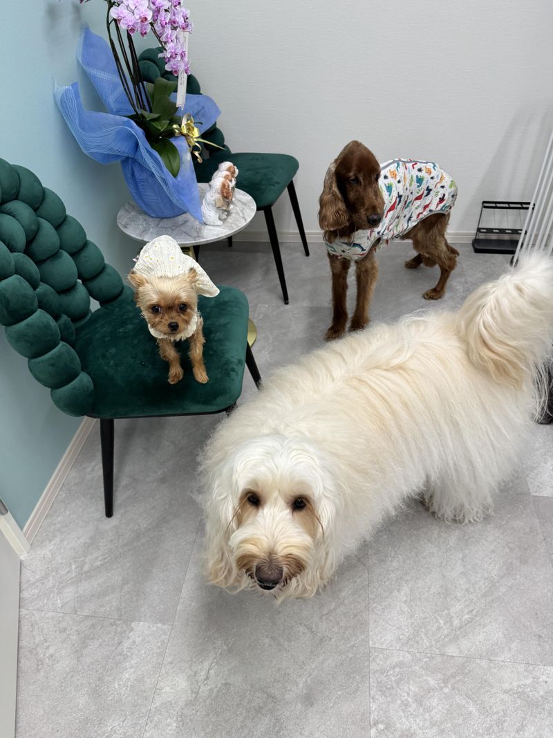 ハウスパートナー株式会社の求人・転職情報