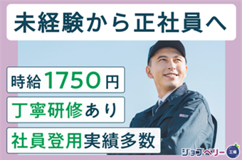 シーデーピージャパン株式会社の派遣求人情報