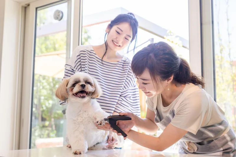 求人画像