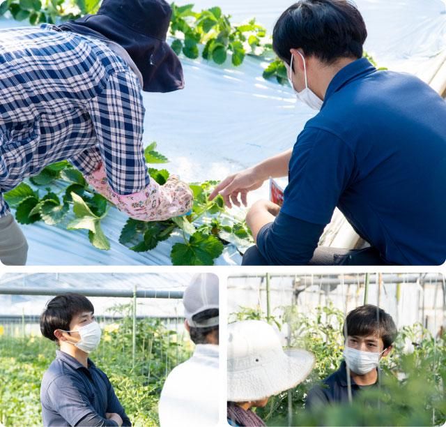 株式会社アグリ・アーツの求人・転職情報