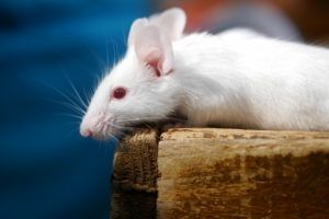 株式会社メディカル･プリンシプル社のアルバイト・バイト求人情報-26