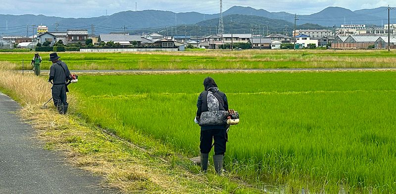 株式会社とりい農産-0001の求人・転職情報