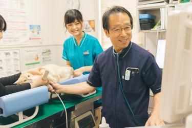 倉敷動物愛護病院の求人3