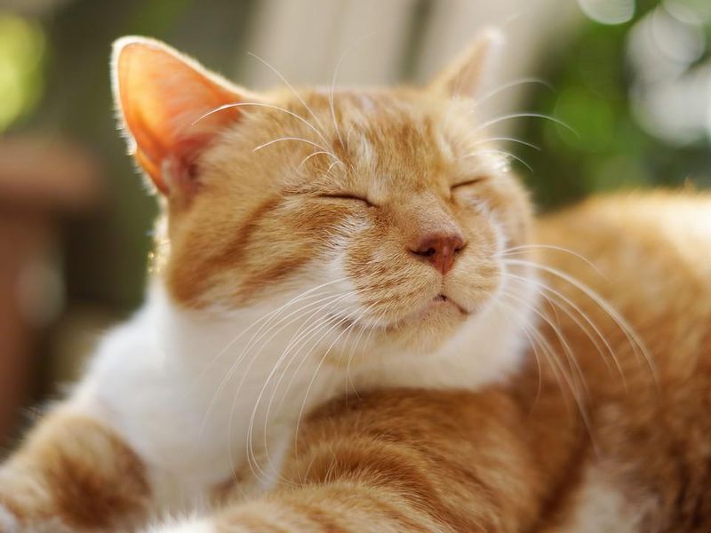 株式会社NIKI　terraceのアルバイト・バイト求人情報-01