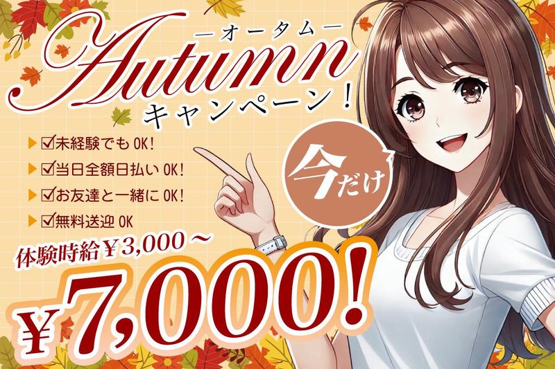 AVANTGARDE VALORの派遣求人情報