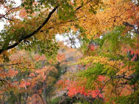 株式会社ヒューマニックのアルバイト・バイト求人情報-02