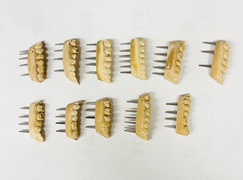 有限会社エスラインのアルバイト・バイト求人情報-03