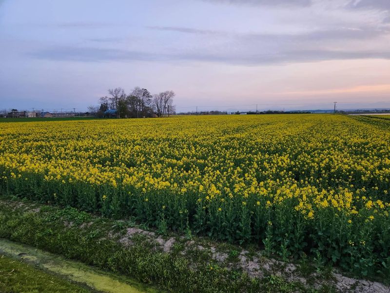清水農場の求人・転職情報