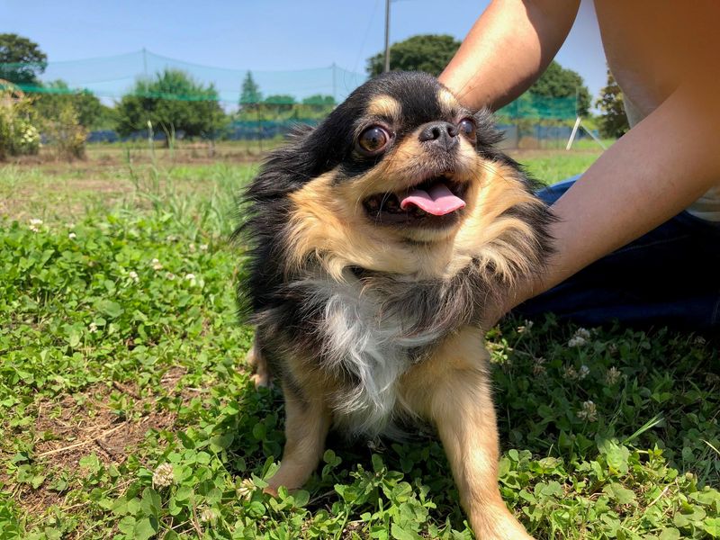 高浦犬舎のアルバイト・バイト求人情報-01