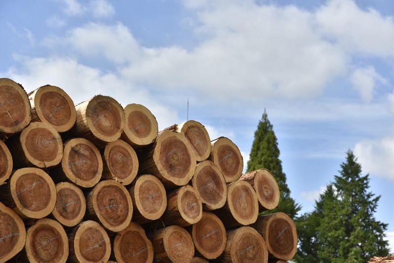 株式会社エフバイオス-0004の求人・転職情報