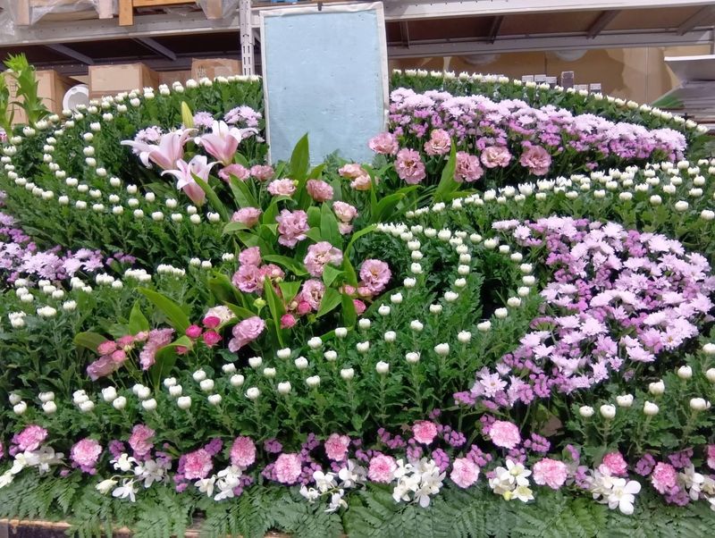 マイ・サクセス株式会社　大阪営業所のアルバイト・バイト求人情報-03