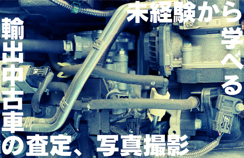 株式会社ブルーマイスターの求人・転職情報