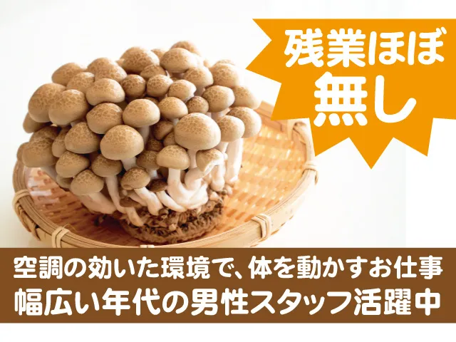 株式会社ベストコミュニケーション 大田原営業所