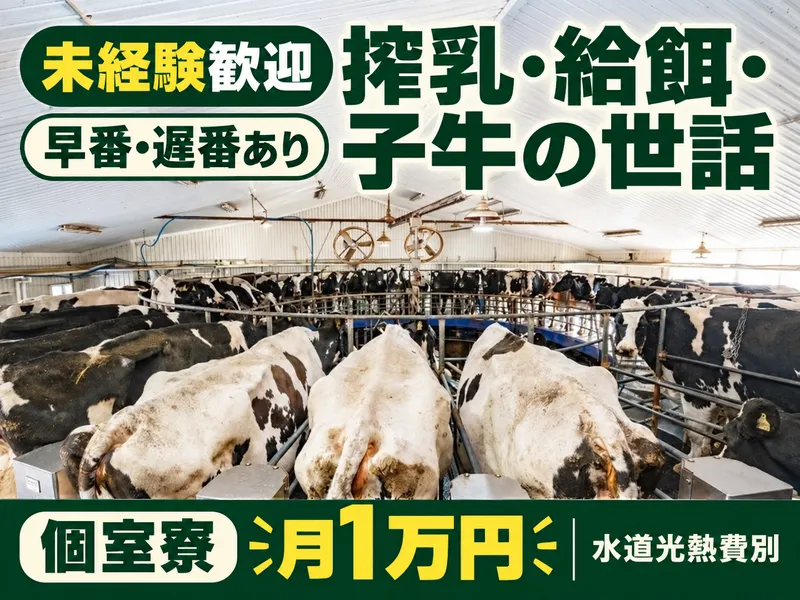 株式会社Jリードの求人・転職情報