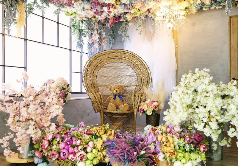 株式会社オリブフォトスタイルの求人・転職情報