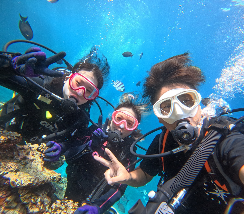 株式会社CREAの求人・転職情報