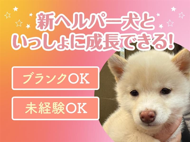 有限会社　ニコニコ介護センターの求人・転職情報