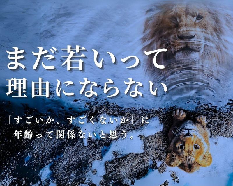 株式会社シンミドウ