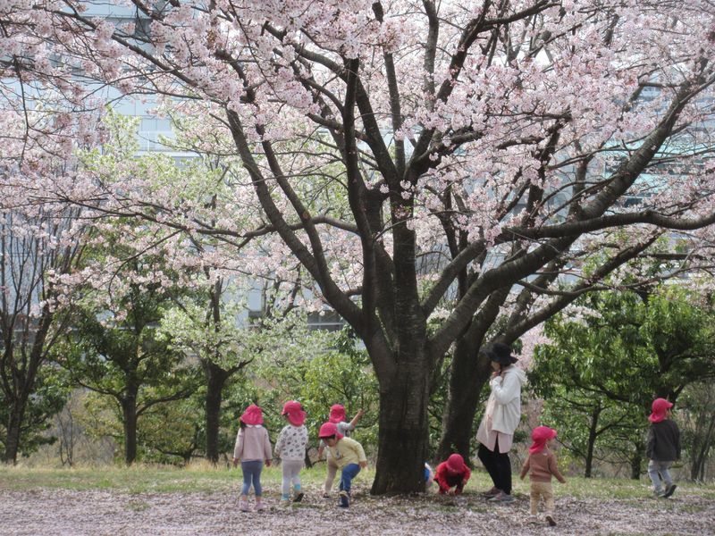 (有)あおばチャイルドセンター南園のアルバイト・バイト求人情報