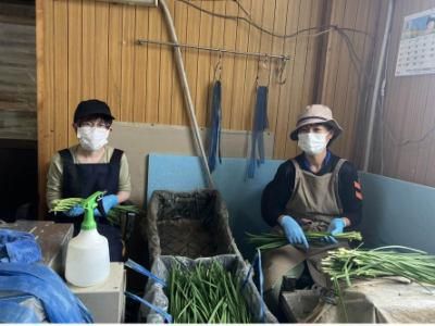 NIPPA米のアルバイト・バイト求人情報-01