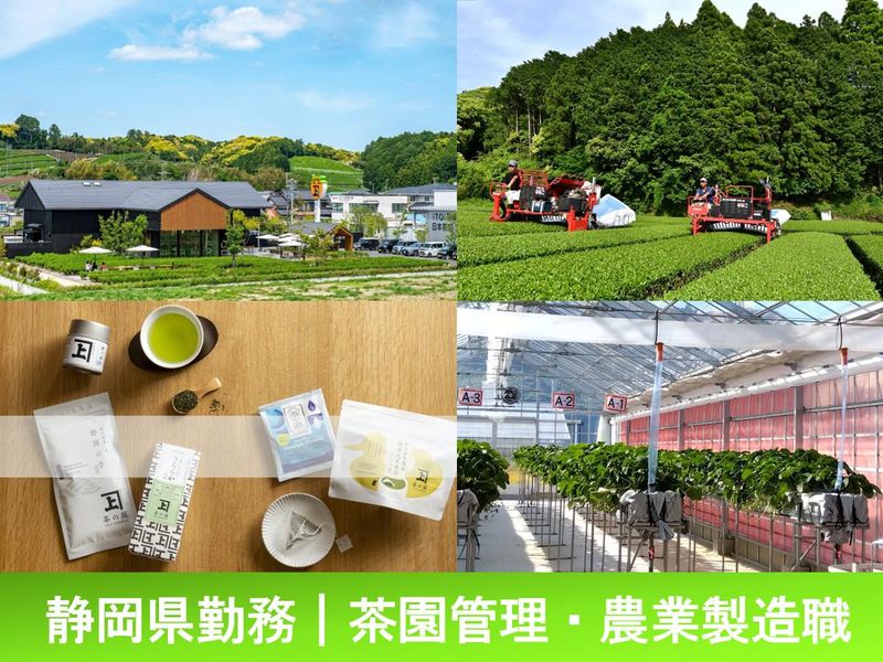 佐々木製茶株式会社