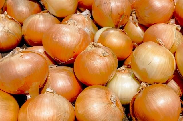 京田辺市のアルバイト・バイト求人情報-08