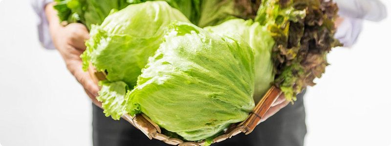 サンポー食品株式会社の求人・転職情報