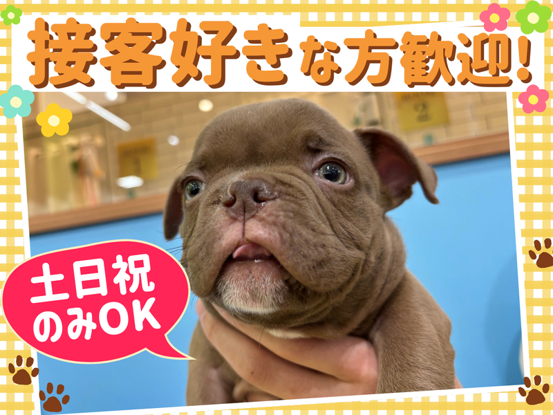 ワンラブ　カインズ熊本宇土店のアルバイト・バイト求人情報-04