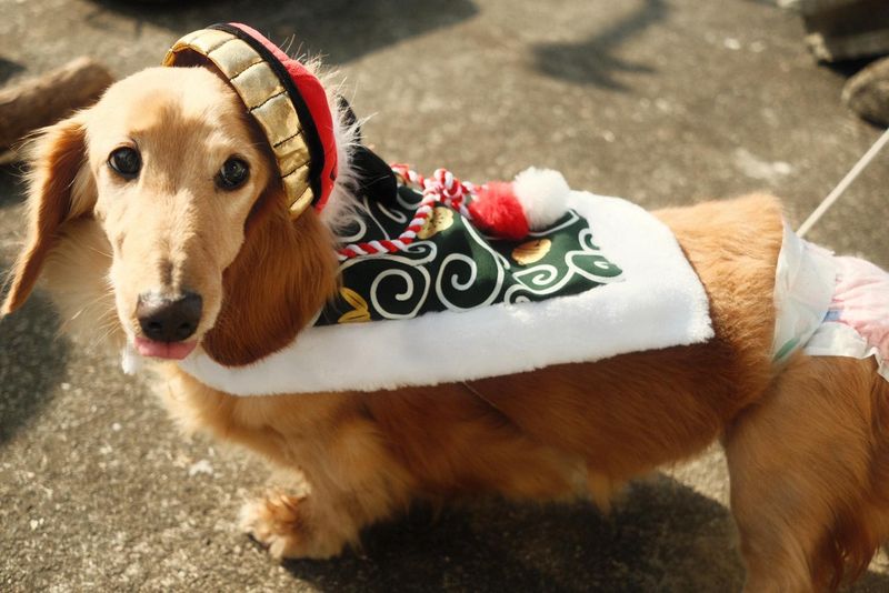 株式会社コミットのアルバイト・バイト求人情報-03