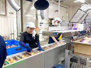 巴包装株式会社の求人・転職情報
