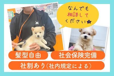 株式会社ラビータ　ラビータフジグラン北島店の求人・転職情報