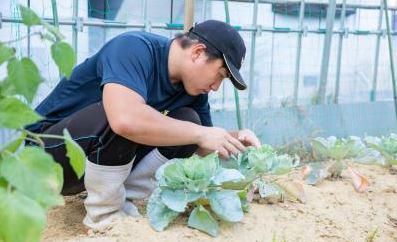 株式会社愛昴-0002の求人・転職情報