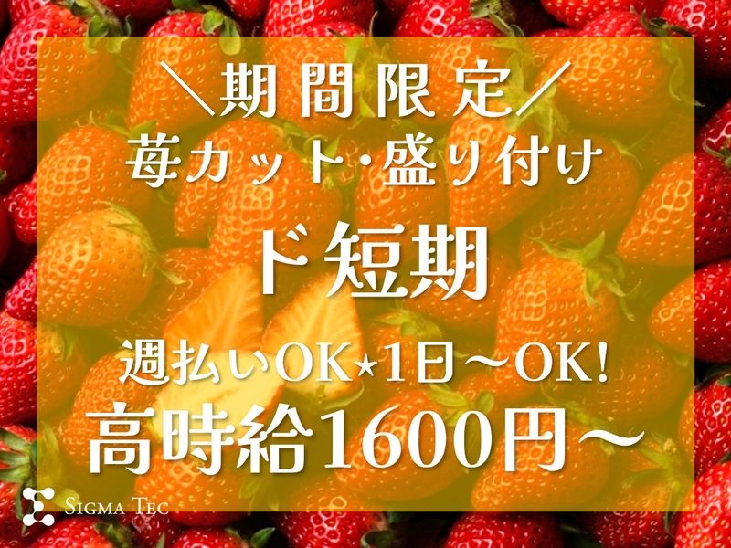 株式会社シグマテック