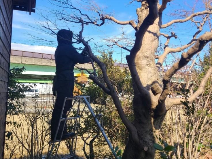 有限会社昭美緑地(事務所)のアルバイト・バイト求人情報-03
